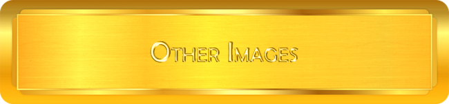 Other Images - English