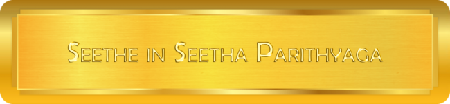 Seethe in Seetha Parithyaga